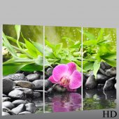 Zen - Triptych Forex Print